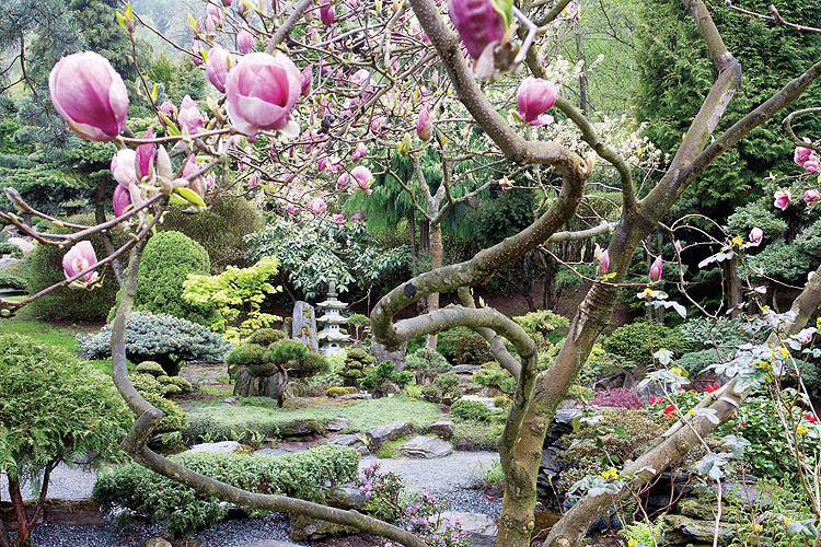 Asian garden in frederick md