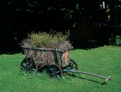 Rustykalne starocie nadają domowi i ogrodowi klimat. W drabiniastym wózku posazona kwiaty.