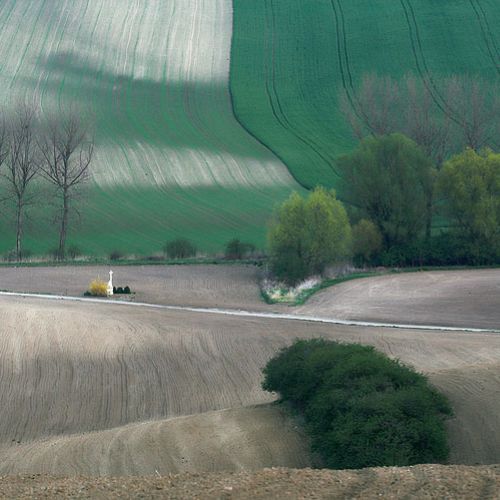 Zdjęcia Marcina Sochy