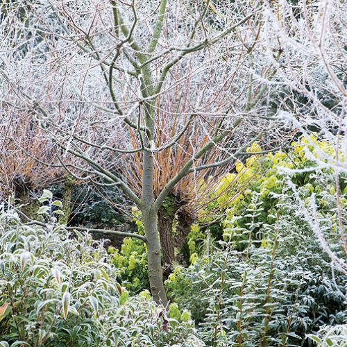 Anglesey Abbey