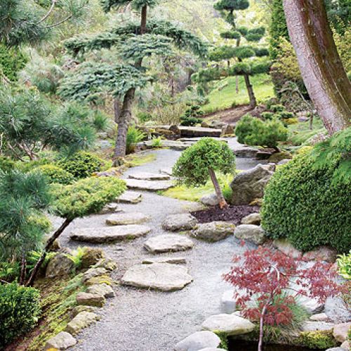 Japoński ogród niedaleko Kudowy-Zdrój. Najpiękniejsze drzewka bonsai w Polsce.