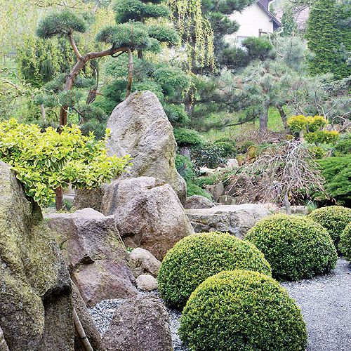 Japoński ogród niedaleko Kudowy-Zdrój. Najpiękniejsze drzewka bonsai w Polsce.