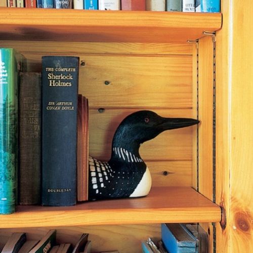 Na półce pośrod książek siedzi gliniany nur - pięknie ubarwiony ptak.