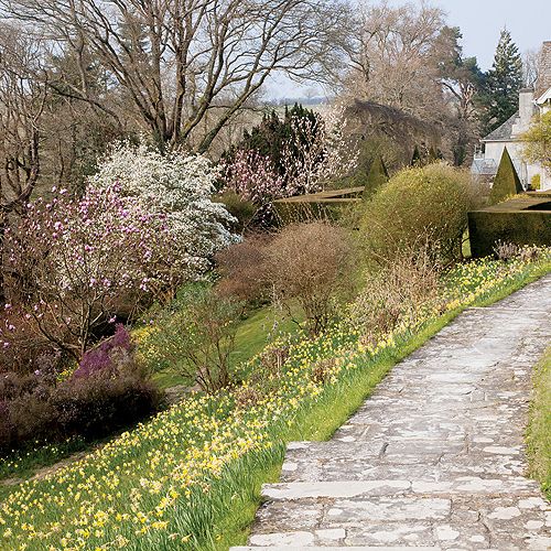 Ogród w Sherwood. Magnoliami wiosna się zaczyna