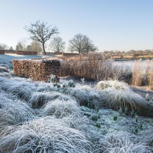 Zima w ogrodzie: Wisley pod Londynem