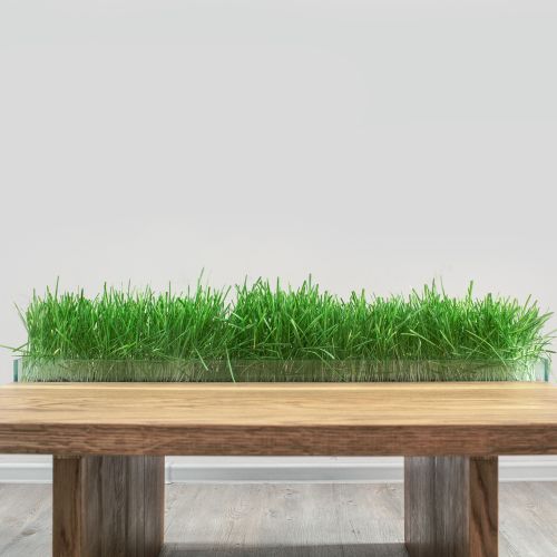 Stół dębowy Green One, InWoodWeTrust, 1500 zł/MyBaze.com